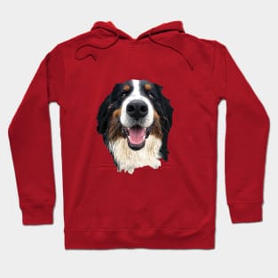 Bernese Mountain Dog Hoodie